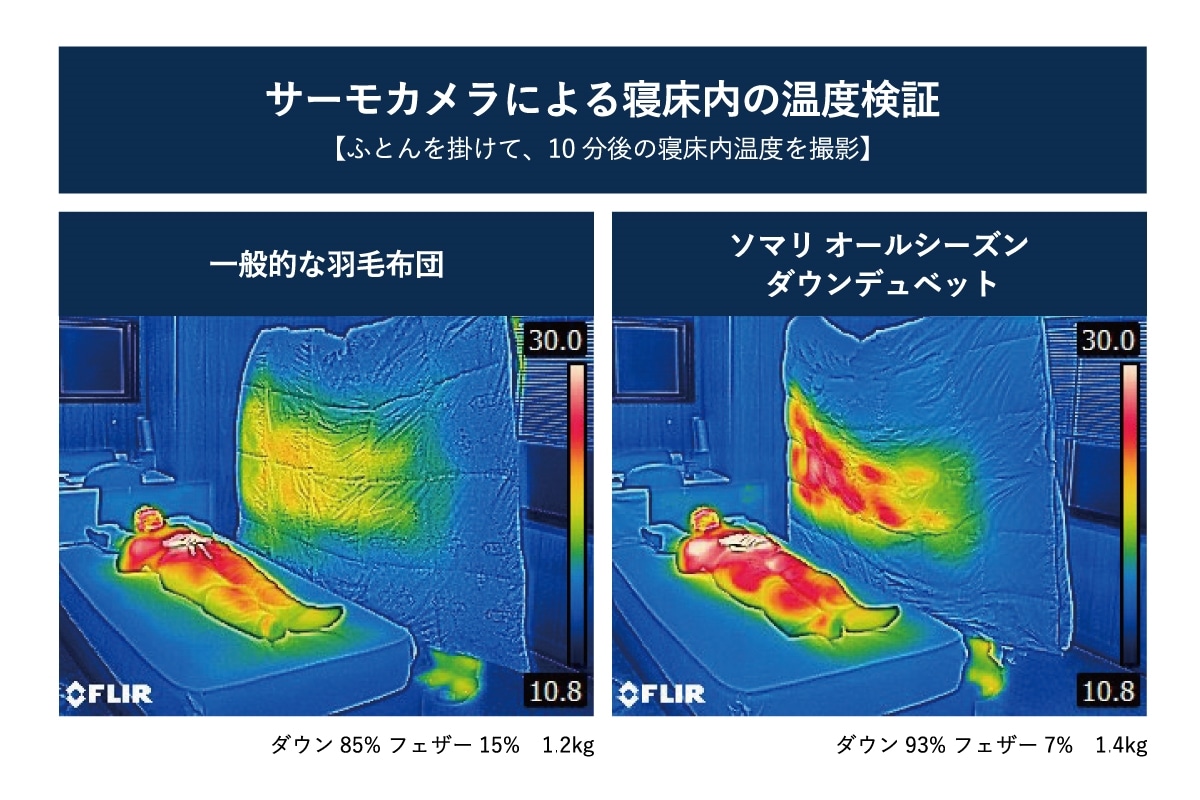 MASTERWAL no FUTON Somali ALL SEASON DOWN DUVET D(ダブル)