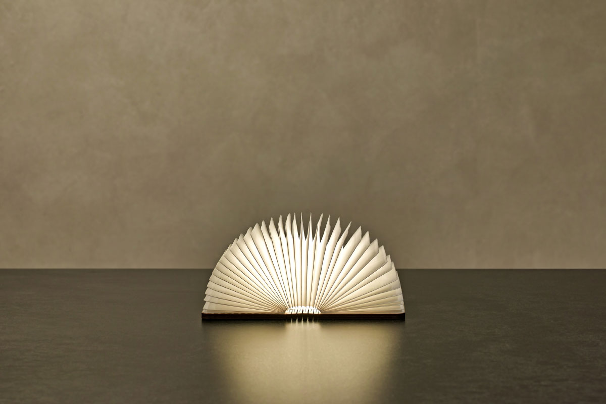 gingko design | Smart Book Light Mini (Natural Wood) Mini