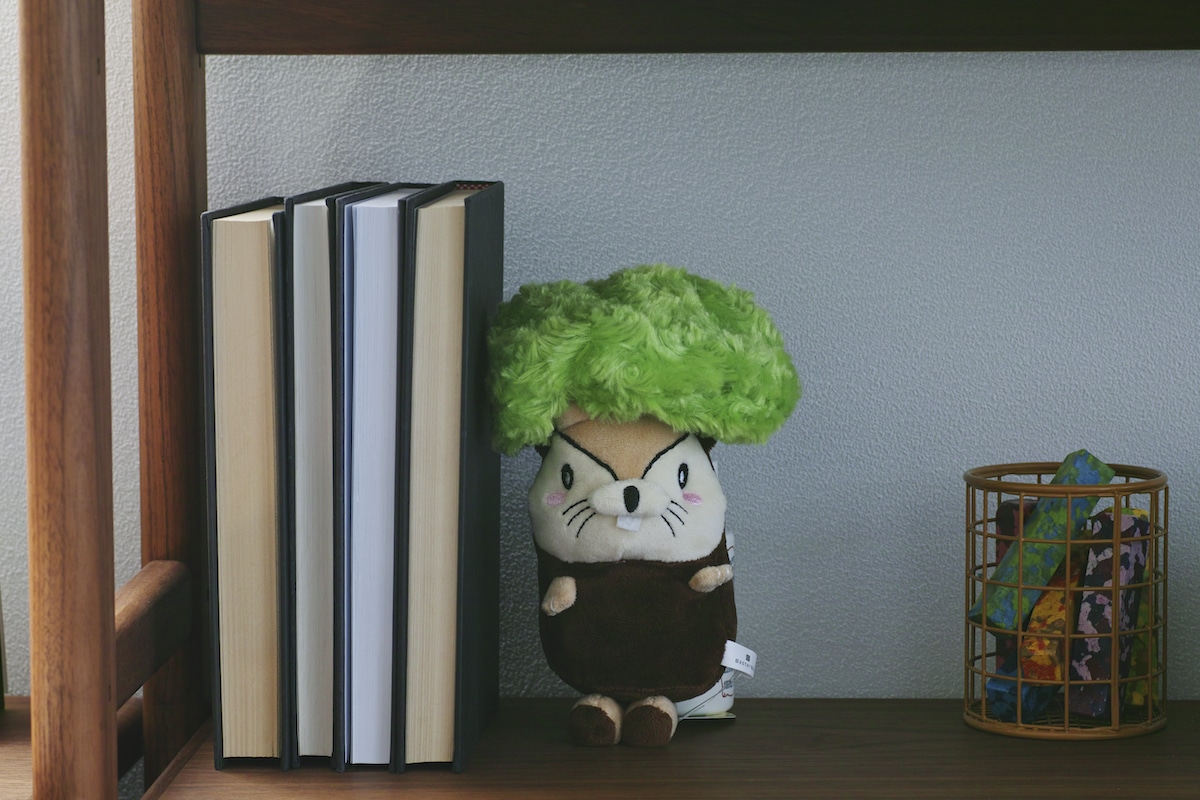 Nuts-kun from Momonoko Island Plush Toy